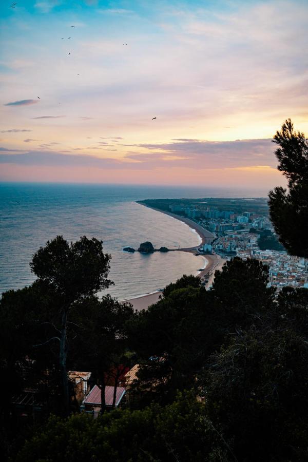 Pierre & Vacances Blanes Playa Eksteriør bilde